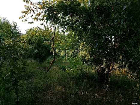 Həyət evi, Xaçmaz r.
