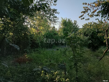 Həyət evi, Xaçmaz r.
