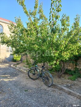 Həyət evi, Qala qəs.