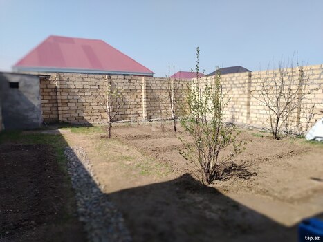 Həyət evi, Gəncə ş.