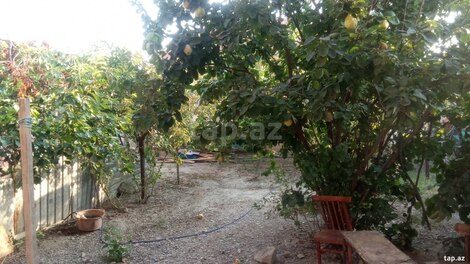 Həyət evi, Mingəçevir ş.