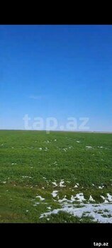 1000 sot torpaq sahəsi, İmişli r.