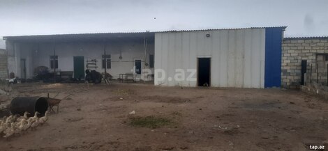 Bağ evi kirayə verilir, Yaşma bağları