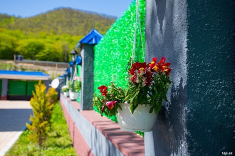 Villa kirayə verilir, Quba r.