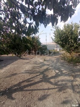 Bağ evi, Mingəçevir ş.