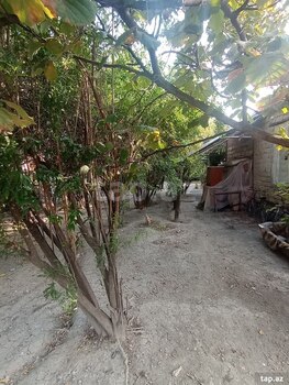 Bağ evi, Mingəçevir ş.