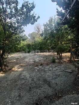 Bağ evi, Mingəçevir ş.