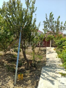 Həyət evi, Sumqayıt ş.
