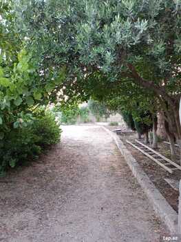 Bağ evi kirayə verilir, Sabunçu r.