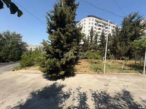 5 sot torpaq sahəsi, Nizami r.