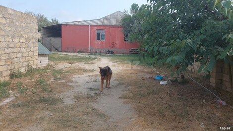 Həyət evi, Pirşağı qəs.