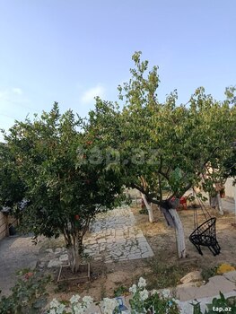 Həyət evi, Hökməli qəs.
