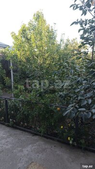 4-otaqlı yeni tikili kirayə verilir, Şamaxı r., 100 m²