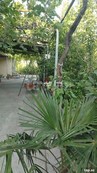 4-otaqlı yeni tikili kirayə verilir, Şamaxı r., 100 m²