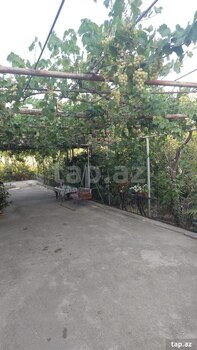 4-otaqlı yeni tikili kirayə verilir, Şamaxı r., 100 m²
