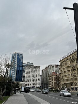 Ofis icarəyə verilir, 8 Noyabr pr.