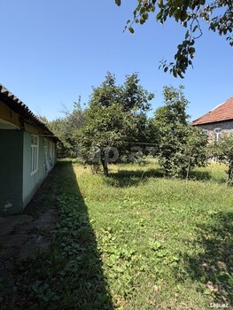 Həyət evi, Zaqatala r.