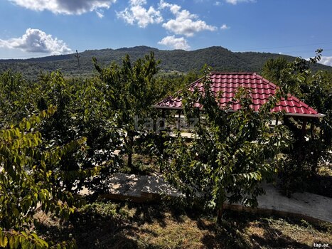 Bağ evi, Quba r.