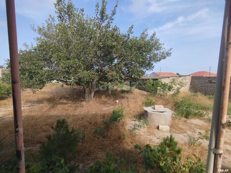 Bağ evi, Pirşağı qəs.