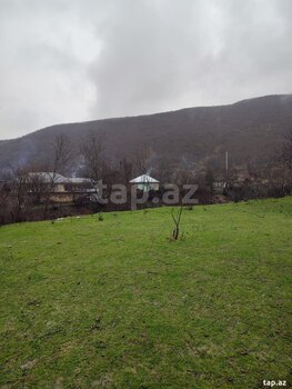 Həyət evi, Şəki ş.