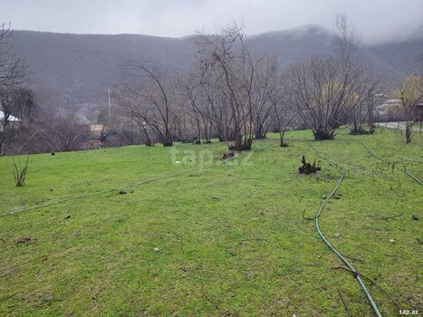 Həyət evi, Şəki ş.