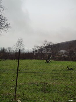 Həyət evi, Şəki ş.