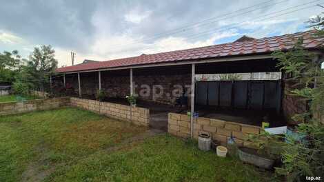 Həyət evi, Boladı k.