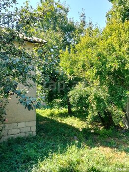 Bağ evi, Xaçmaz r.
