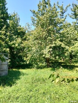 Bağ evi, Xaçmaz r.