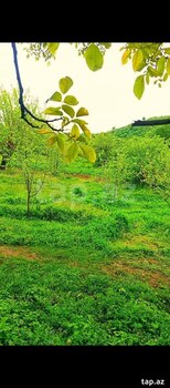 Həyət evi, İsmayıllı r.
