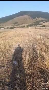 4 sot torpaq sahəsi, Xızı r.