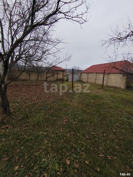 Həyət evi, Alpan k.