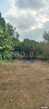 Bağ evi kirayə verilir, Xaçmaz ş.