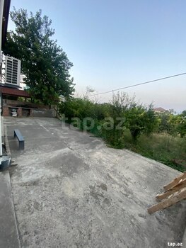 Həyət evi kirayə verilir, Saray qəs.