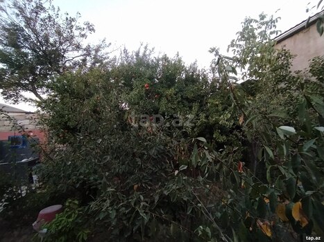 Həyət evi, Xırdalan ş