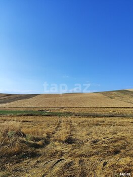 1550 sot torpaq sahəsi, Qobustan r.
