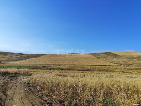 1550 sot torpaq sahəsi, Qobustan r.