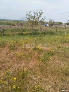 Həyət evi, Xaçmaz r.