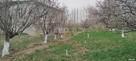 Bağ evi, Naxçıvan ş.