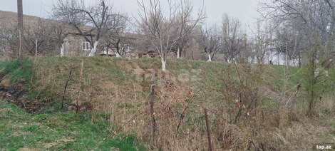 Bağ evi, Naxçıvan ş.