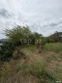 Həyət evi, Şəki ş.