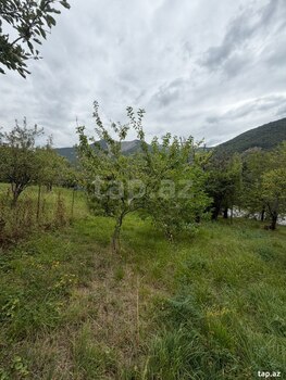 Həyət evi, Şəki ş.