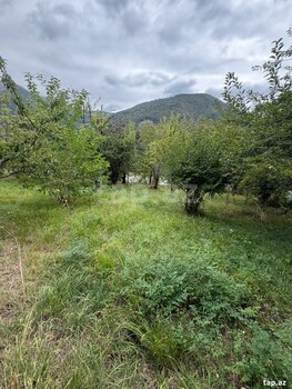 Həyət evi, Şəki ş.