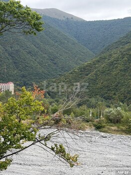 Həyət evi, Şəki ş.