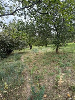Həyət evi, Şəki ş.