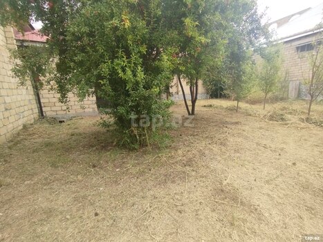 Həyət evi, Şəki ş.