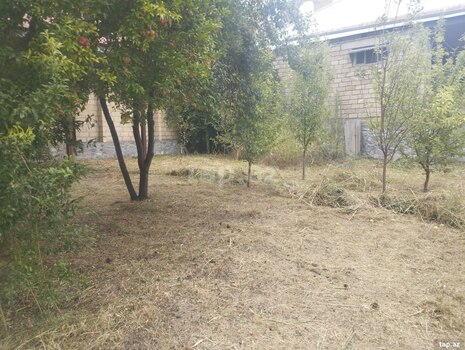 Həyət evi, Şəki ş.