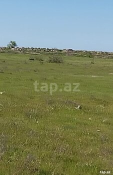 500 sot torpaq sahəsi, Şabran r.
