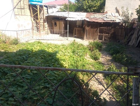 4.55 sot torpaq sahəsi, Naxçıvan ş.