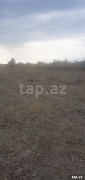 1200 sot torpaq sahəsi, Sabirabad r.